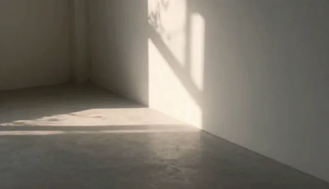 域名托管中的系统集成检查要点解析